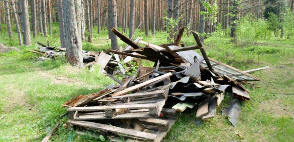 Debris Removal Service in Morrisville